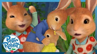 ​OfficialPeterRabbit  🤗💖 Peter and His Sisters 🤗💖  🎉 World Siblings Day 🎉  Cartoons for Kids [upl. by Caassi]