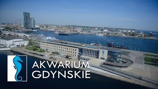 AKWARIUM GDYŃSKIE👌🇵🇱 [upl. by Lednahc]