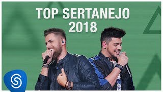 Top Lançamentos Sertanejo 2019  Os Melhores Clipes [upl. by Okiam793]