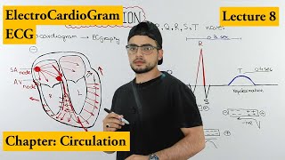 ECG Electrocardiogram fully explained  Chapter circulation  Video 8 [upl. by Norton367]