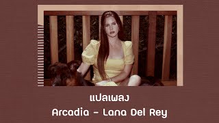 แปลเพลง Arcadia  Lana Del Rey Thaisub ความหมาย ซับไทย [upl. by Ahsanat148]