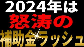 【補助金情報】2024年は前代未聞の補助金が始まる！？あの窓リノベが2倍へ！内窓 先進的窓リノベ 補助金 [upl. by Nnaharas986]