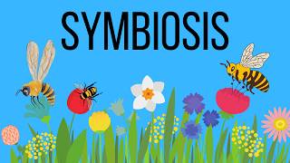 What is symbiosis in Biology Mutualism  Commensalism  Parasitism [upl. by Caasi817]