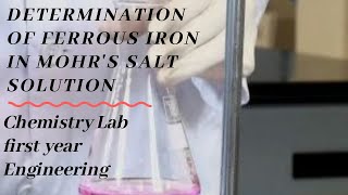 Determination of ferrous iron in Mohrs salt solutionChemistry lab  Eduscription [upl. by Ariam162]