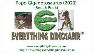 Papo Giganotosaurus 2020 Dinosaur Model Sneak Peek [upl. by Rhodes]