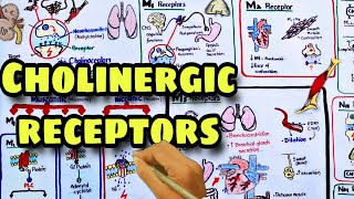 Cholinergic receptors  Muscarinic and Nicotinic receptors  Pharmacology [upl. by Leahey837]