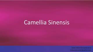 Pronunciation of the words quotCamellia Sinensisquot [upl. by Sansone76]