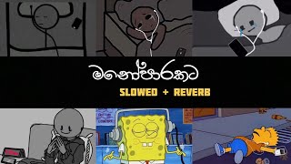 මනෝපාරකට සිංදු  Slowed and Reverb  Manoparakata Shinhala song Collection 3 [upl. by Stroup384]