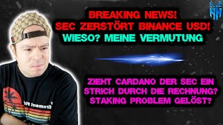 Aus für BUSD SEC Ermittelt gegen herausgeber Paxos❗ Kann Cardano das US Staking Dilemma lösen ada [upl. by Oicul600]