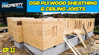 Building a Wood House  Installing OSB Plywood Sheathing amp Ceiling Joists [upl. by Mcevoy977]