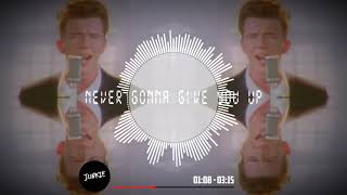 Rick Astley  Never gonna give you up Junkie remix [upl. by Noned]