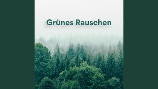 Grünes Rauschen Zum Schlafen [upl. by Llednahs]