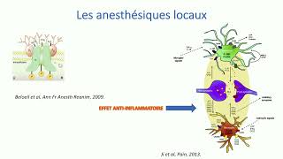 Douleur viscérale postopératoire  Dr Mouna Ben Rehouma [upl. by Aivart]