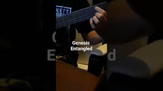 Genesis  Entangled acousticguitar genesis genesiscover genesisentangled [upl. by Aniweta]