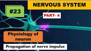 Propagation of nerve impulse [upl. by Amato930]