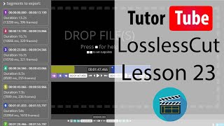 LossLessCut Tutorial  Lesson 23  Separate Audio and Video by using Extract All Streams [upl. by Ataga762]