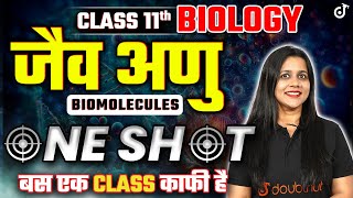 जैवअणु ONE SHOT Class 11 Biology ➡️ Biomolecules One Shot in Hindi  JaivAnu  Vijaita Mam [upl. by Muns]