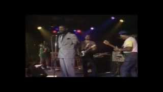 The Blues Brothers Band  Sweet home Chicago Live in Montreux [upl. by Muhammad512]