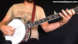 The Blarney Pilgrim Melodic Banjo [upl. by Eppesiug]