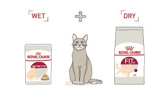 Royal Canin Mix Feeding for Cat [upl. by Amice]