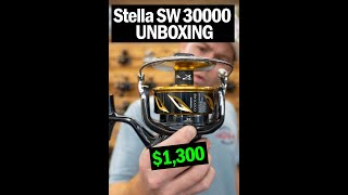 Shimano Stella SW 30000 Unboxing [upl. by Zetnwahs]