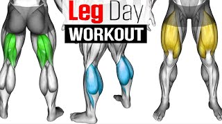 Full LEG Muscle Transformation 8 Best Exercises [upl. by Risley]