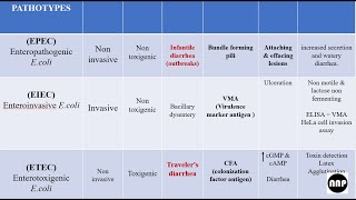 Diarrheagenic E coli amp agents causing diarrhea MBBS Microbiology [upl. by Grange]