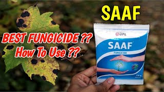 How To Use Saaf Fungicide On Plants In Hindi  Best Fungicide  Carbendazim 12  Mancozeb 63 WP [upl. by Breen]