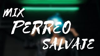 Mix Perreo Salvaje 🔥 OldSchoold  Reggeaton Antiguo Hist 🔥 Dj Anthony Alexander [upl. by Acilejna]