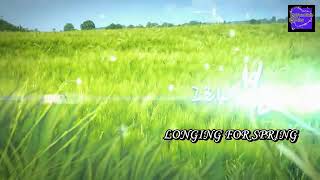 Longing for spring kdrama ep 2 eng sub [upl. by Alleroif140]