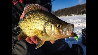 Northern Wisconsin Crappies  InDepth Outdoors Season 12 Episode 8 [upl. by Shedd]