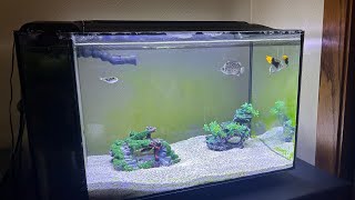 The Fluval Evo 135 Lives [upl. by Halil]