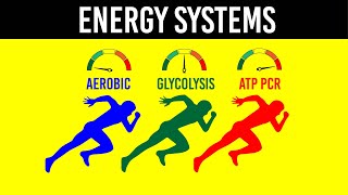 ENERGY SYSTEMS  Strength amp Conditioning Essentials [upl. by Anitnoc]