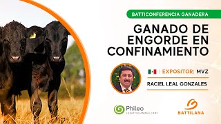 Batticonferencia Ganadera  Ganado de Engorde en Confinamiento [upl. by Thurmond]