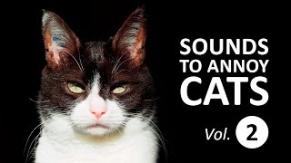 10 SOUNDS TO ANNOY CATS  Make your Cat Go Crazy HD Vol 2 [upl. by Airlia]