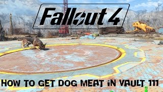 Fallout 4How To Get Dog Meat In Vault 111 [upl. by Ruzich713]