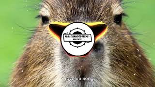 Capybara Song  Bass Boosted AreYouANoobster [upl. by Neo]