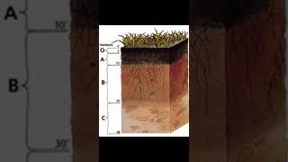 About soil soil layers  HorizonA soil soillayers gk [upl. by Casandra]