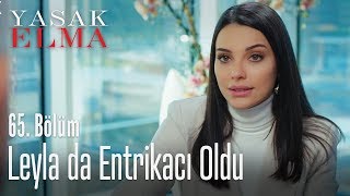 Leyla da entrikacı oldu  Yasak Elma 65 Bölüm [upl. by Charles804]