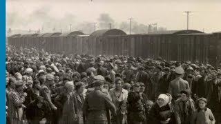 The deportation of Jews from Hungary and Lodz to Auschwitz Birkenau 1944 [upl. by Chicoine]