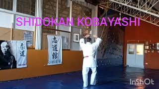 Matsumura no Passai sensei Mariano Melfi 8° dan [upl. by Ocir]