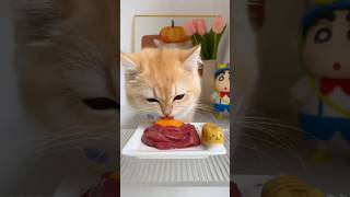 Raw 🍖 strips sashimi  runny raw🥚 Credit  Dining kitty asmr catmukbang [upl. by Assiren]