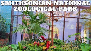 Smithsonian National Zoological Park Tour  4K  Washington DC [upl. by Gonnella263]