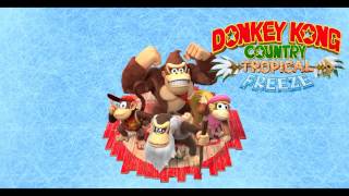 Music Donkey Kong Country Tropical Freeze  Panicky Paddles [upl. by Teraj]