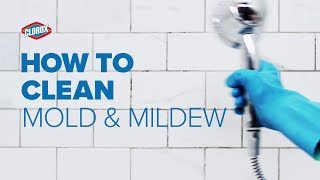 Clorox® HowTo  Clean Mold amp Mildew [upl. by Aihsikal]