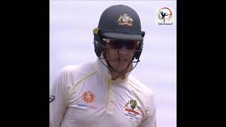 Sledging at its best or worst in Cricket Aus vs Ind [upl. by Gee72]