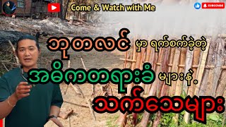 quotဘုတလင်မှာ ရက်စက်ခဲ့တဲ့ အဓိက တရားခံများနဲ့သက်သေများquot reactionvideo politicalnews update [upl. by Ettenan]