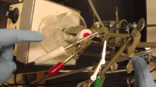 cyclic voltammetry experiment [upl. by Eanel]