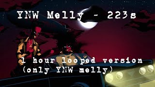 223s but its only YNW Melly for 1 hour [upl. by Akierdna]