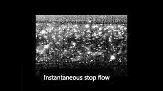 Parabolic and plug flow in a microfluidic channel [upl. by Nelleus]